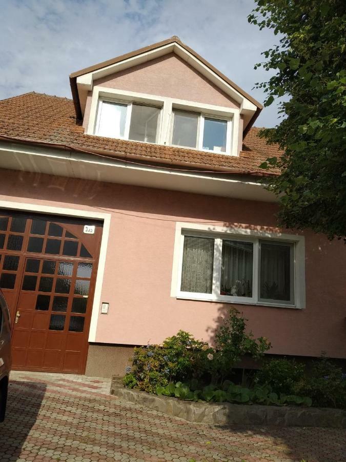 Apartmán Gabika na Záhorí Apartman Malacka Kültér fotó